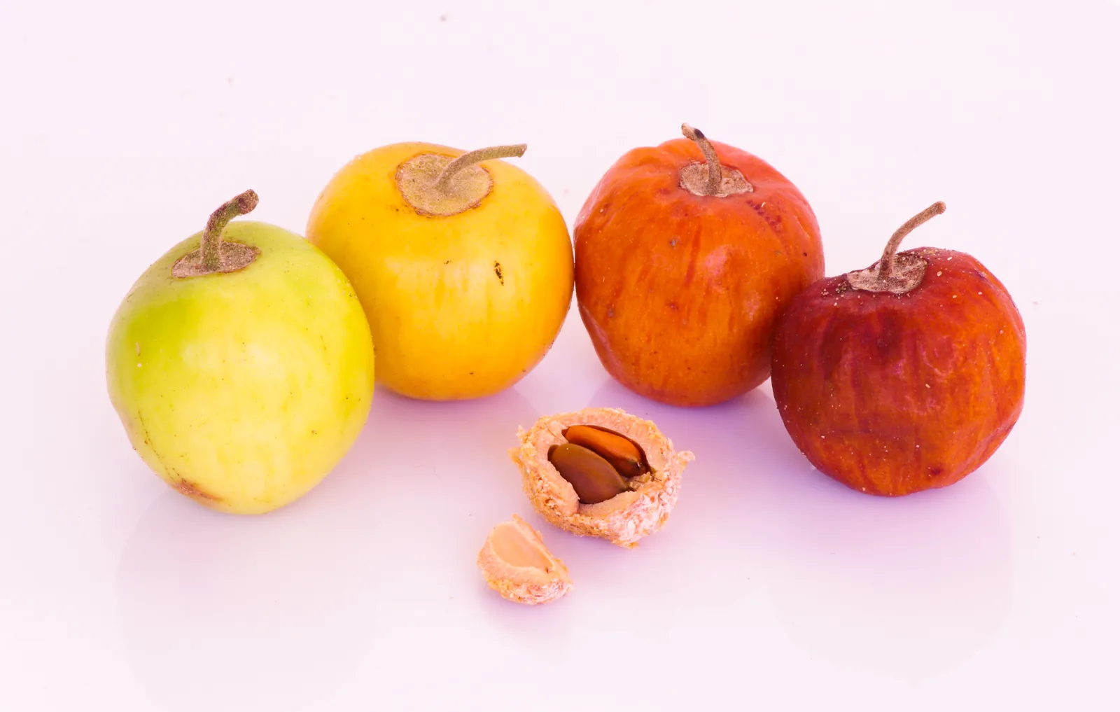 Hand-picked jujube fruit at peak ripeness