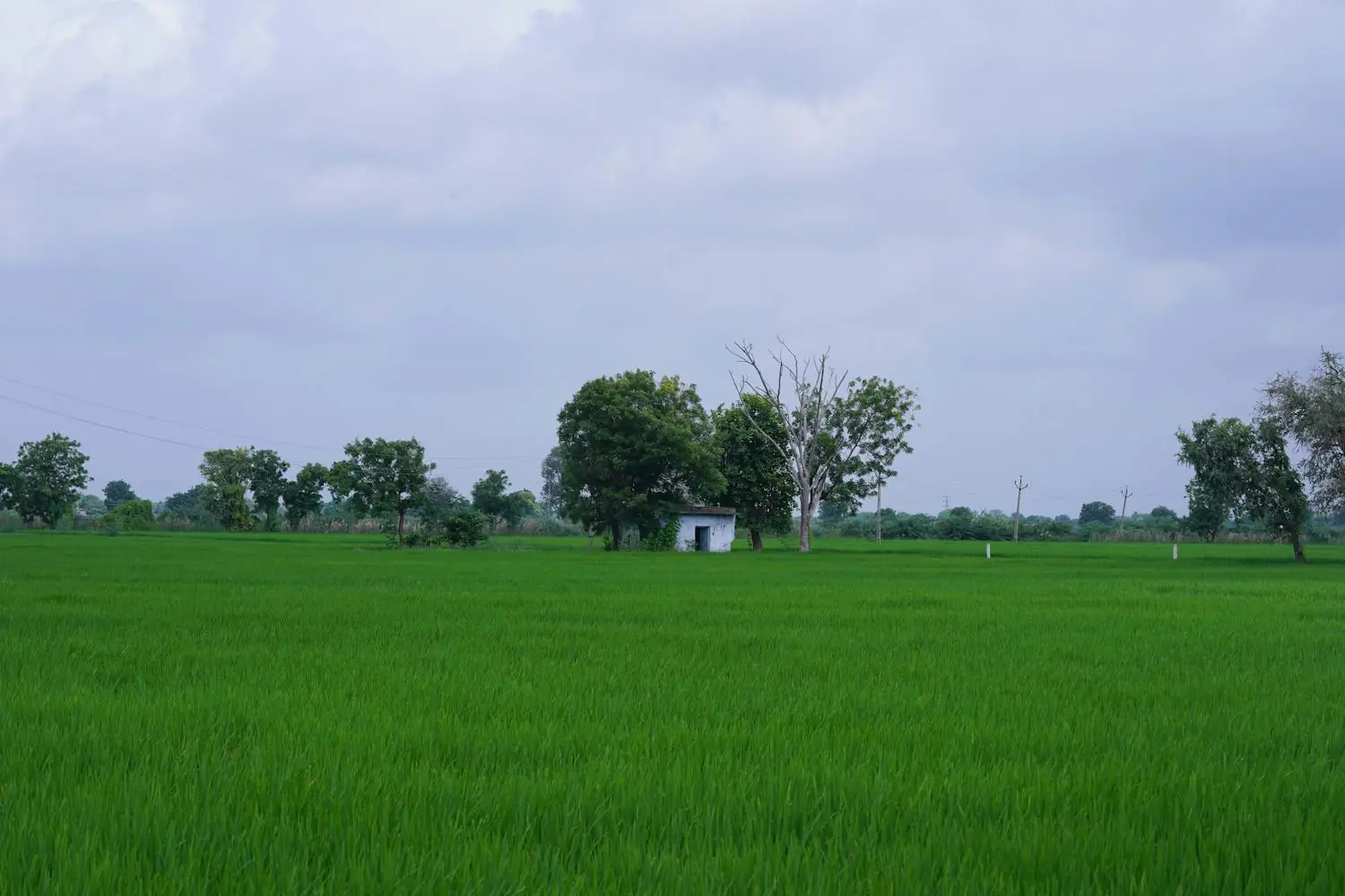 A Banda village lane on a quiet afternoon